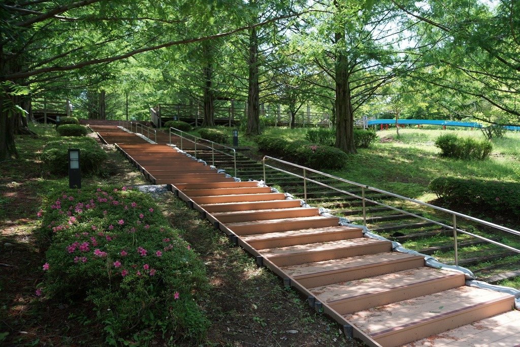 🌳 나가오카 공원(나가오카 코엔) 이미지 3